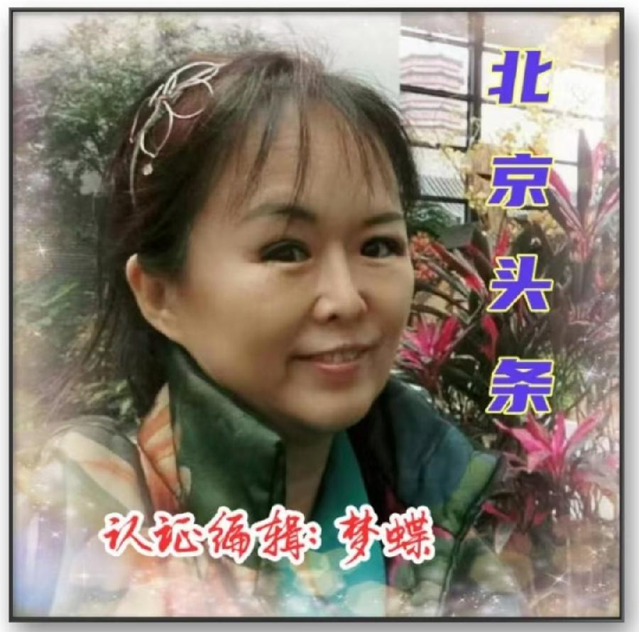 照片汇集