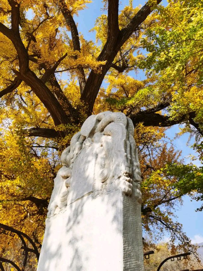 七言-寒露日金祖山有题～诗||刘瑞宝（图13）