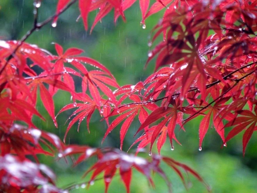 《许峰诗歌研究院》诗词歌赋欣赏【总第258期】（图5）