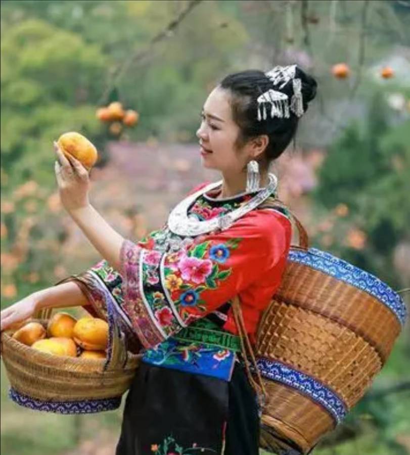 欣赏春晓老师七绝五首·秋柿佳人（图6）