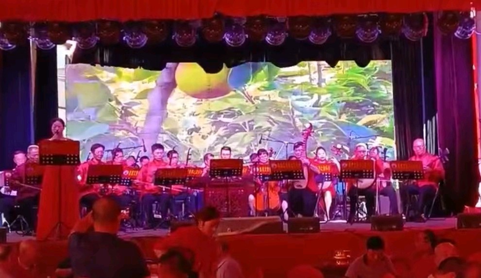 排律-续写辉煌～诗||雅轩琴韵（图23）