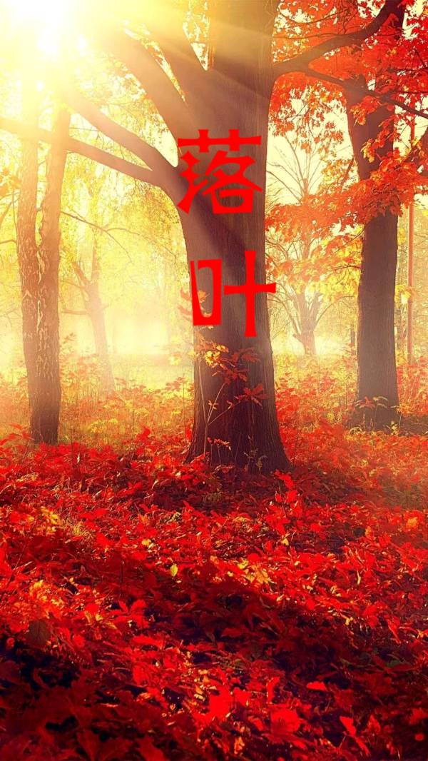 七律-落叶（连载二）诗||马文智（图8）