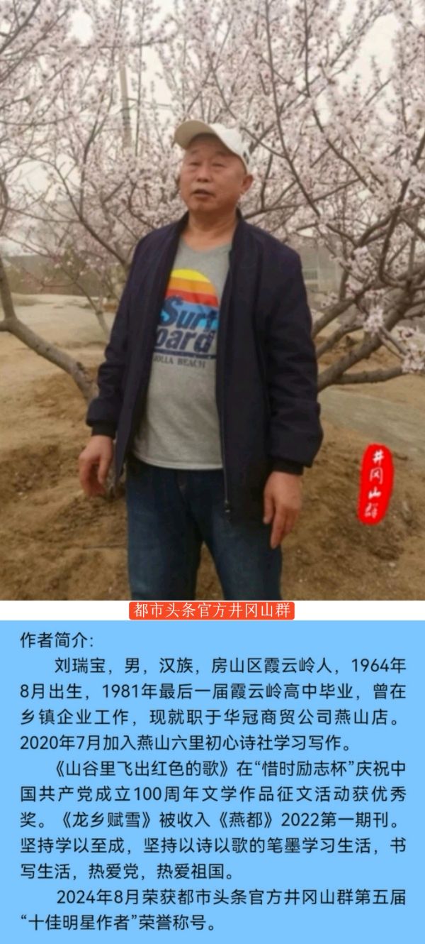 七言-写给航天女侠王浩泽～诗||刘瑞宝（图18）