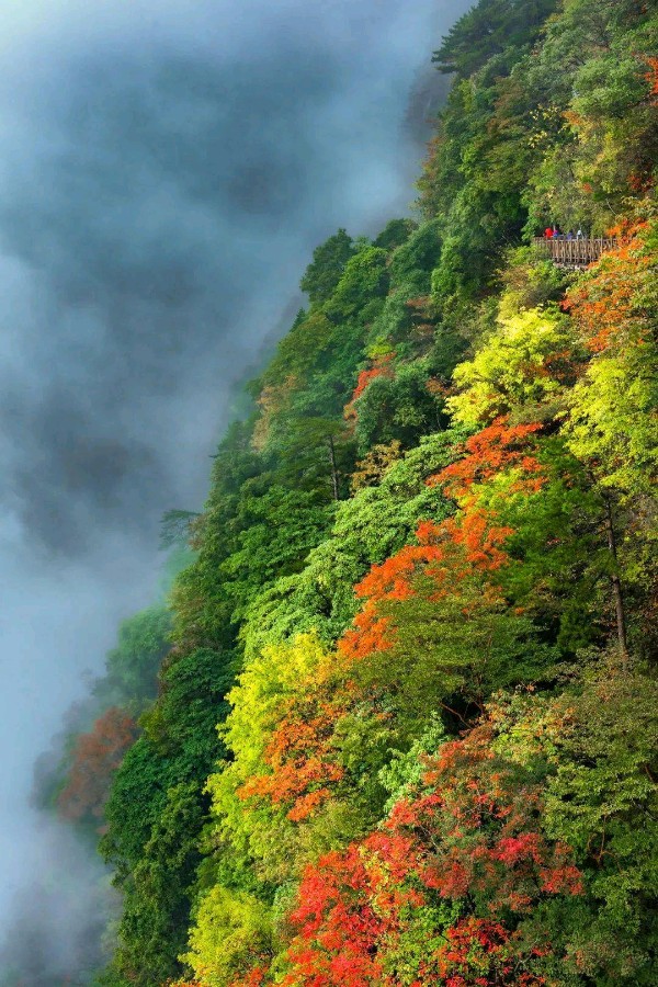 初冬千山～诗||吴永良（图9）