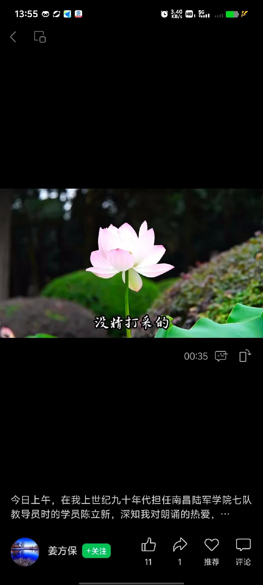 孙述考、李伟、王保江文五篇……莲叶之珠文学社(图5)