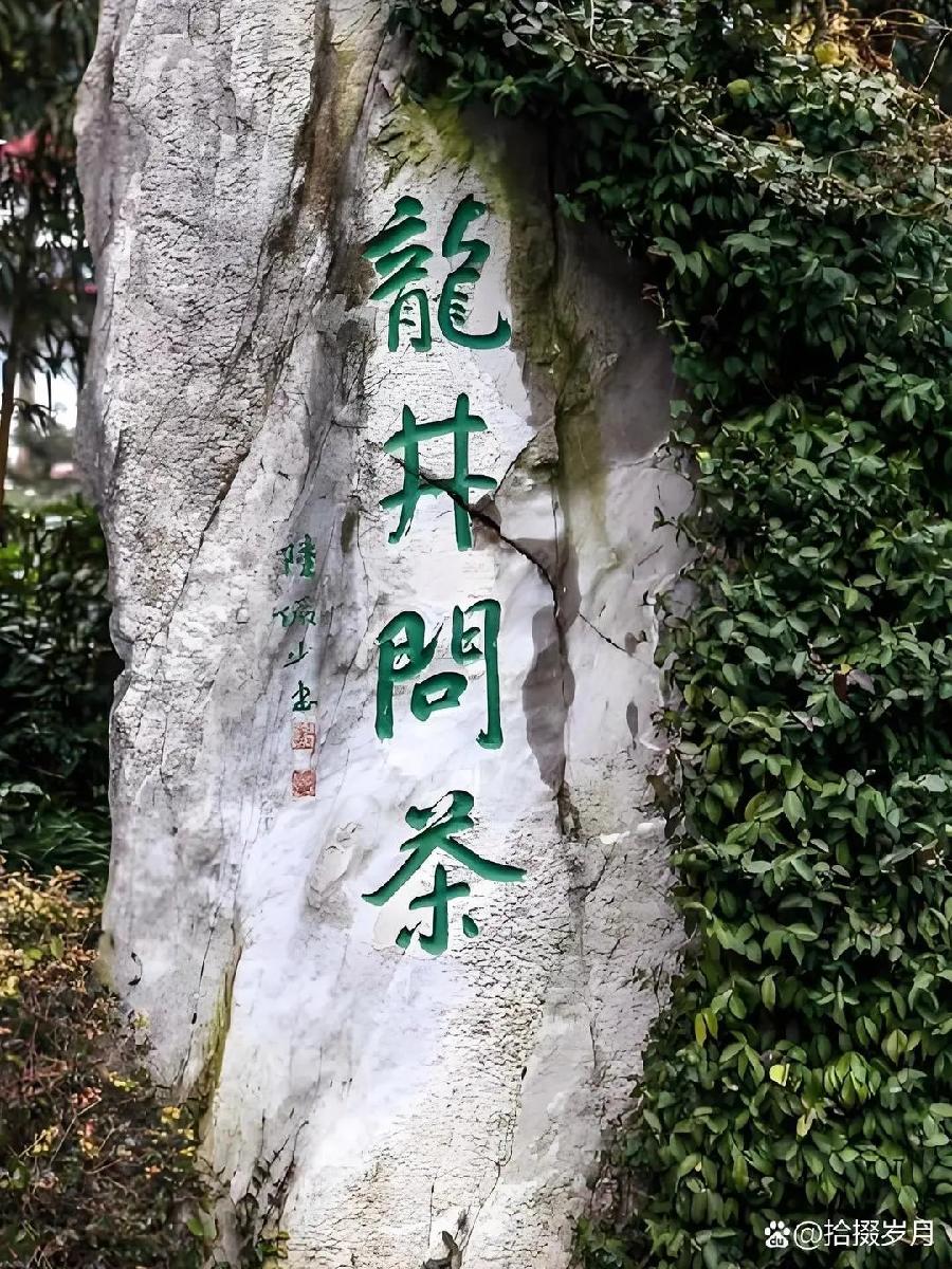 【九月茶韵文学诗社】2024—051期《龙井问茶 虎跑寻泉》作者伤木 朗诵小丽花 编辑制作 刘林丽（图2）
