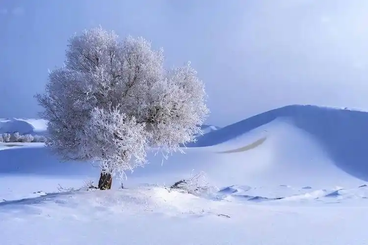 【雪花的快乐】作者李永林 朗诵家明（图4）