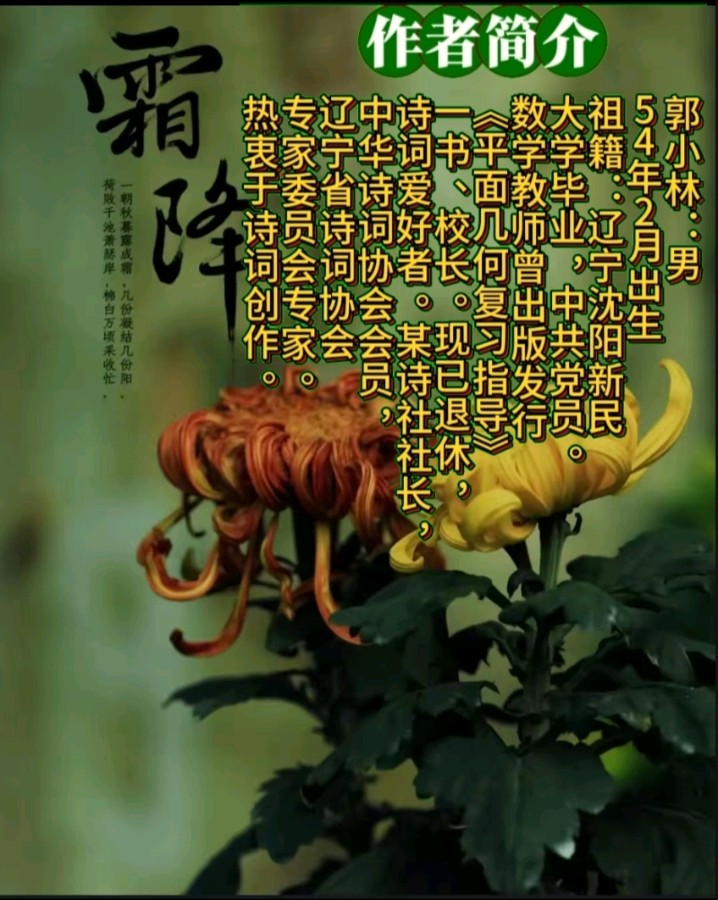 《现代诗人郭小林古诗七律》作者:郭小林 [中国现代诗歌文化传媒]（图9）