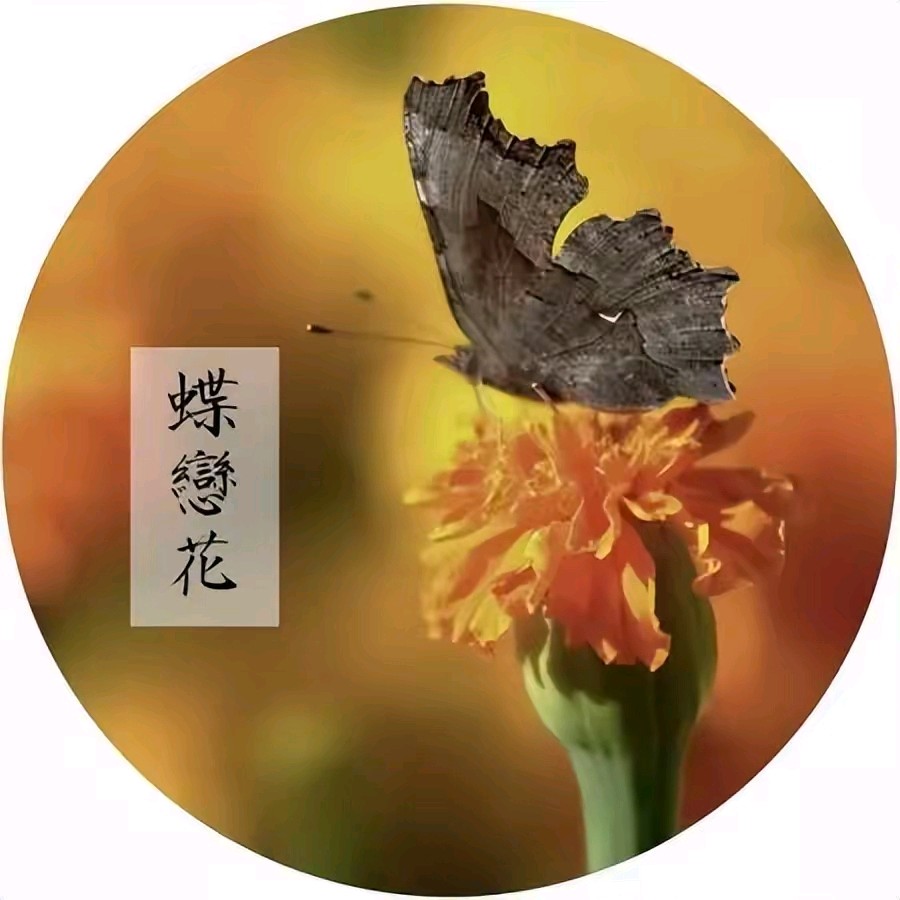 《现代诗人龙游天下现代古诗词牌》作者:李华 [中国现代诗歌文化传媒]（图7）