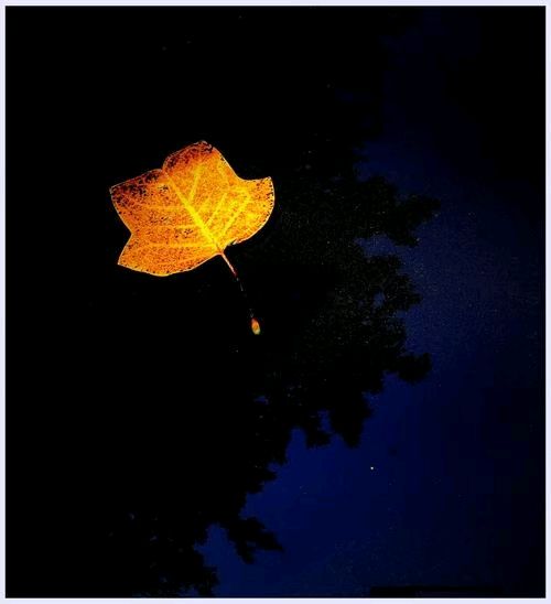 《亚洲诗艺》1010期刊（图3）