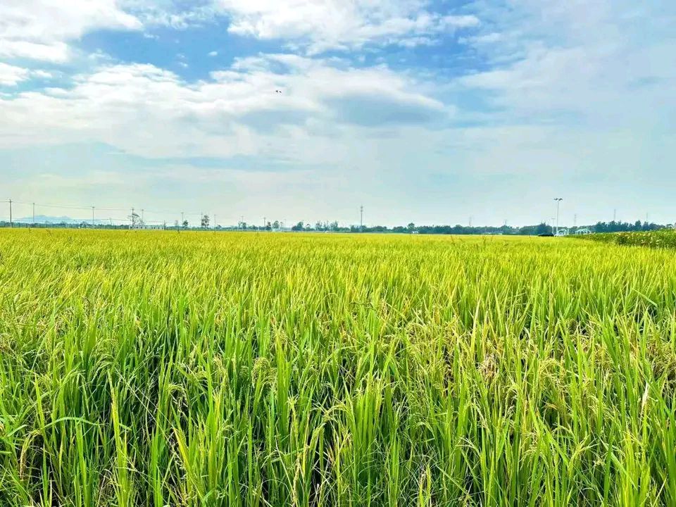 仁强马汉‖文/王宇鹏（图10）