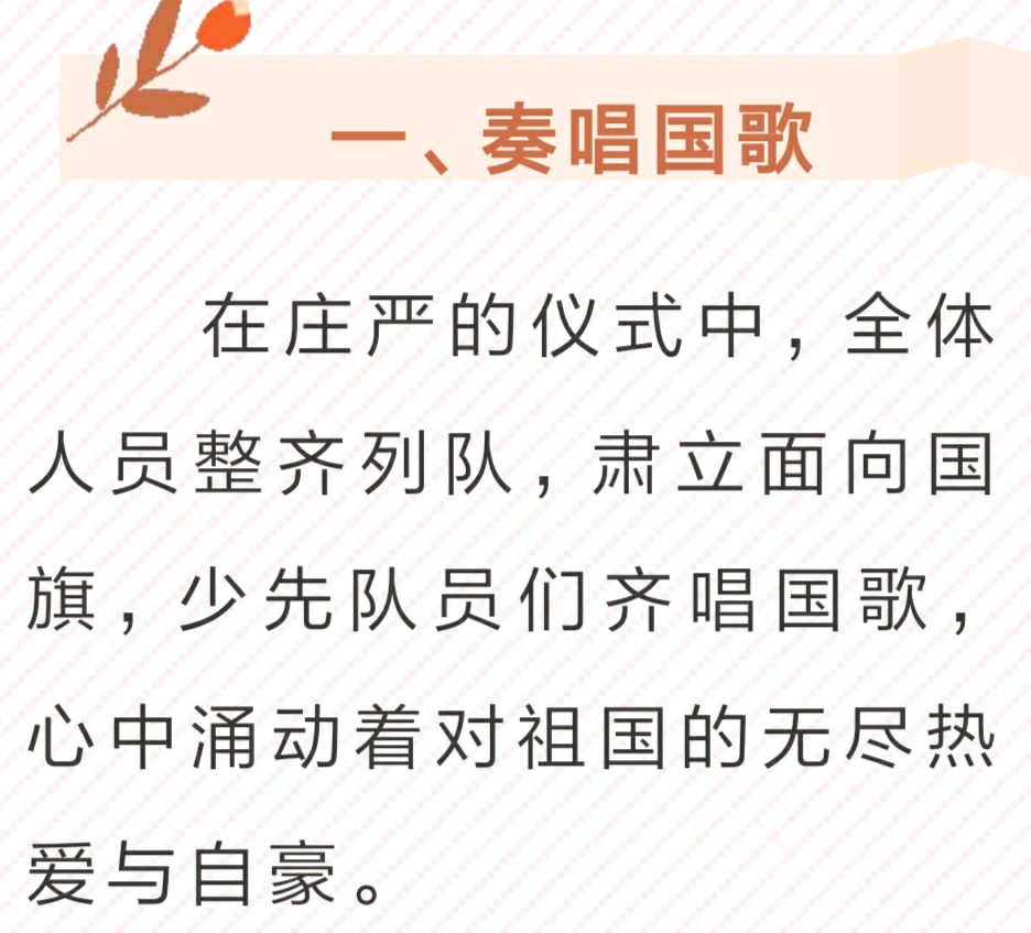 【允美教育集团】红领巾爱祖国——共守祖国疆土 共建美好家园 西双版纳州允景洪小学行走的思政课启动仪式（图5）