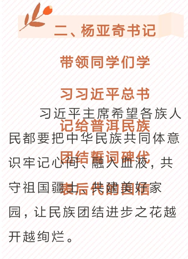 【允美教育集团】红领巾爱祖国——共守祖国疆土 共建美好家园 西双版纳州允景洪小学行走的思政课启动仪式（图7）