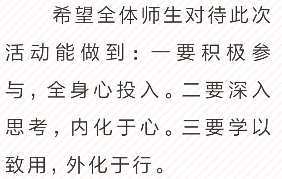【允美教育集团】红领巾爱祖国——共守祖国疆土 共建美好家园 西双版纳州允景洪小学行走的思政课启动仪式（图10）