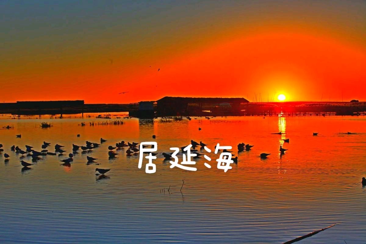 居延海风光～诗||李耀文（图11）