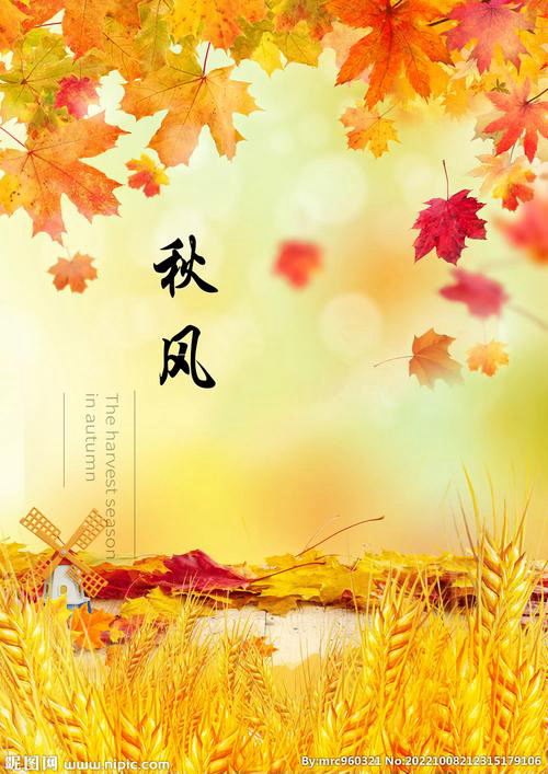 林懋予：《悖论6》海外头条（图5）