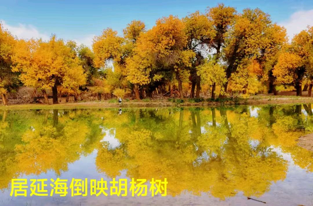 居延海风光～诗||李耀文（图17）