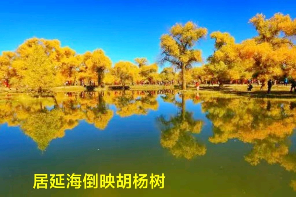 居延海风光～诗||李耀文（图18）