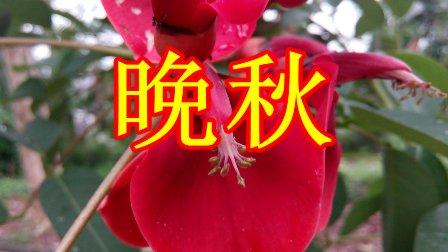 【重磅推出】“农民诗人”曹南强//秋 愁[系列作品展外二十二首]（图3）