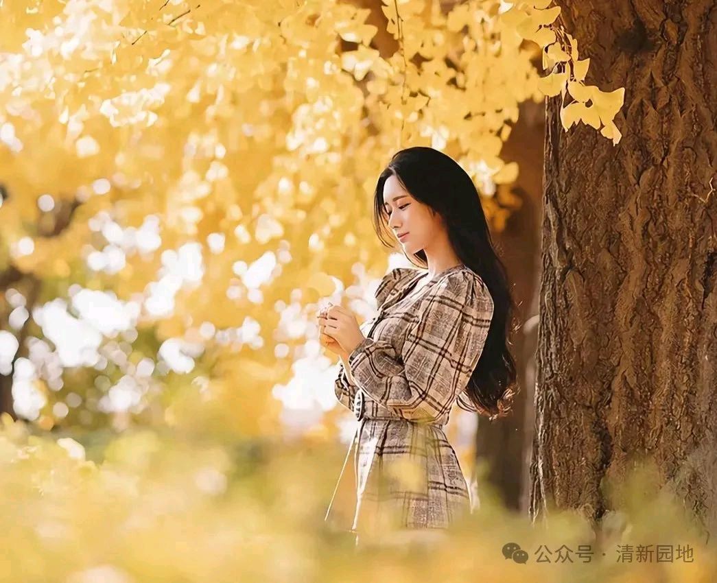 翻阅最新日子文/林水火（福建）（图3）