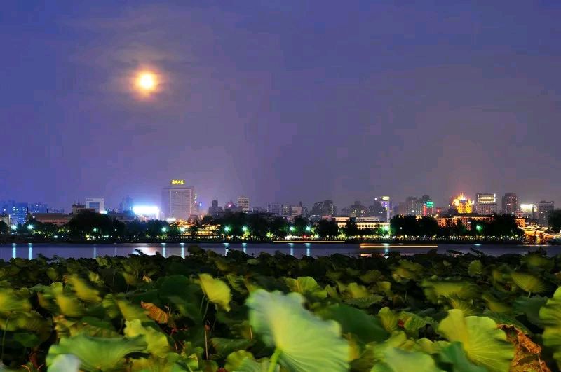 《中秋，沏一壶月光下的茶》作者/陈小花 主播/珠儿 主编/胡琴（图2）