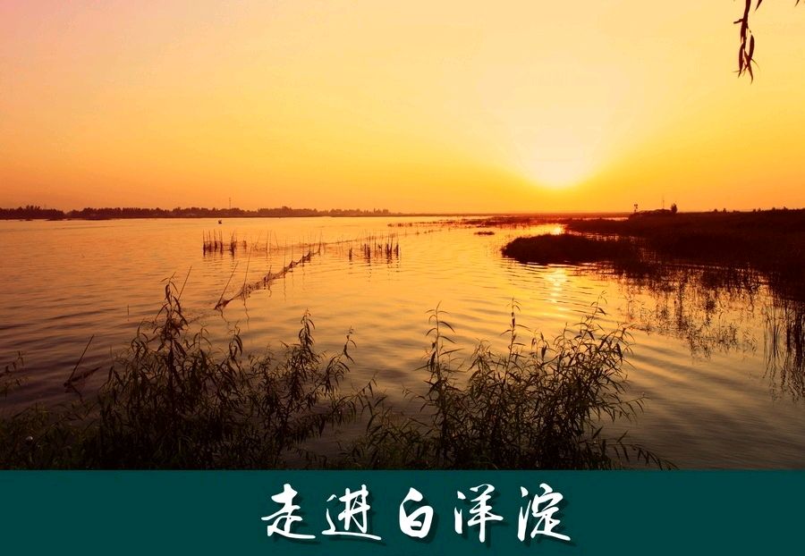 锦绣河山（组合/连载15）诗||王金廷（图15）