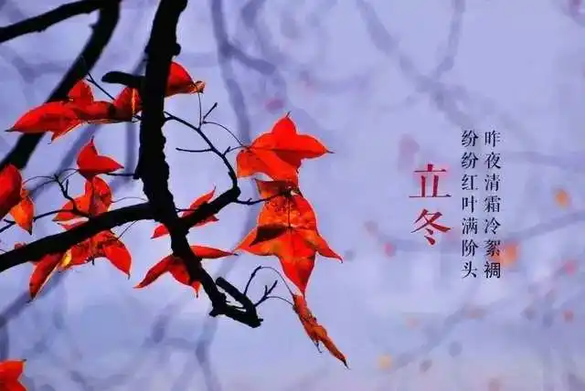 《话说立冬》文稿整理:强军/陕西宝鸡(图43)
