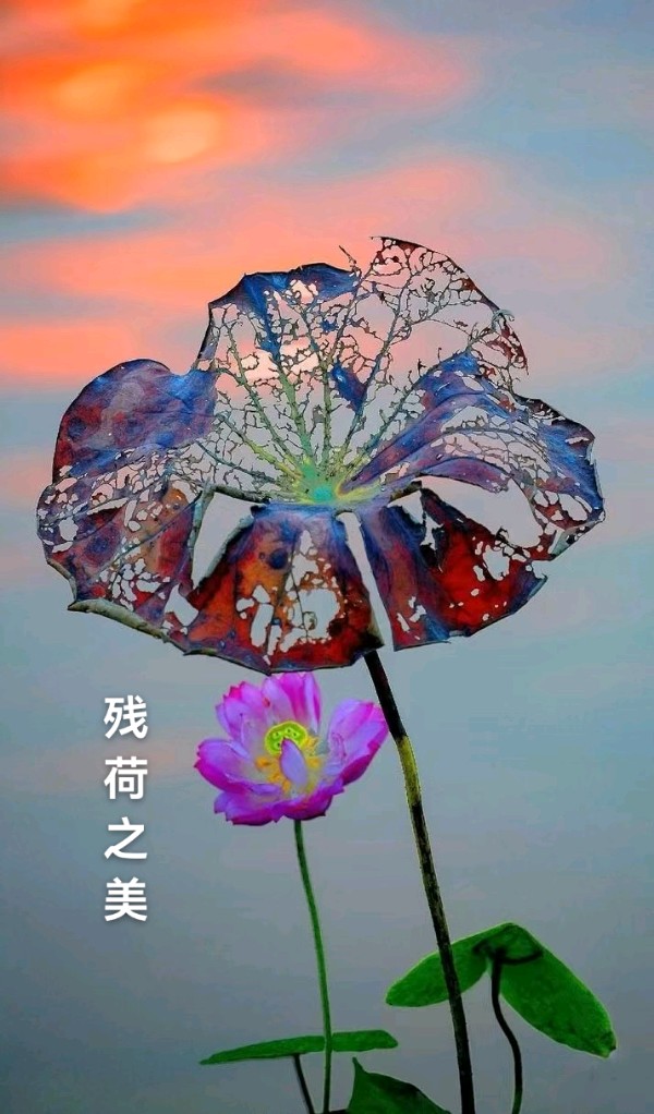 立冬吟～诗||吴永良（图13）
