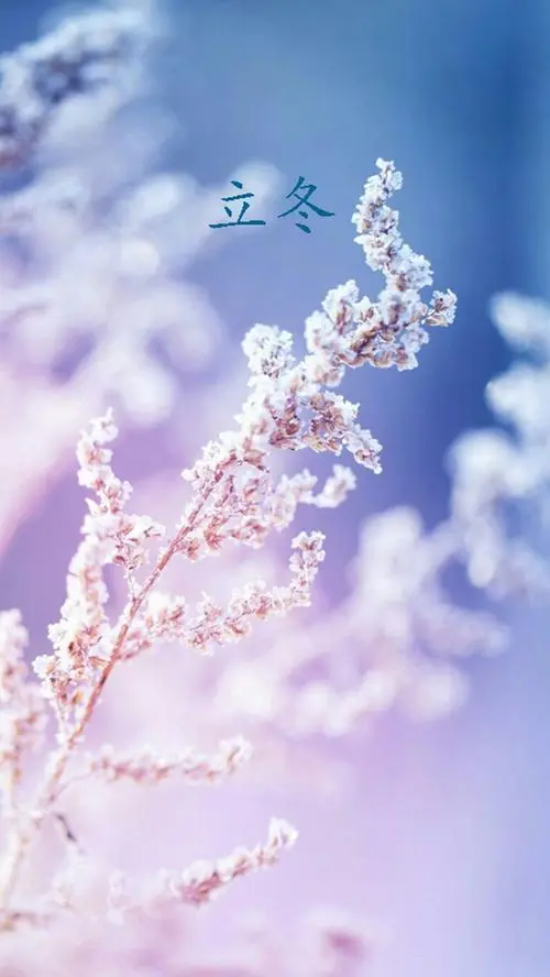 古风《立冬》文/杨子钦（图2）
