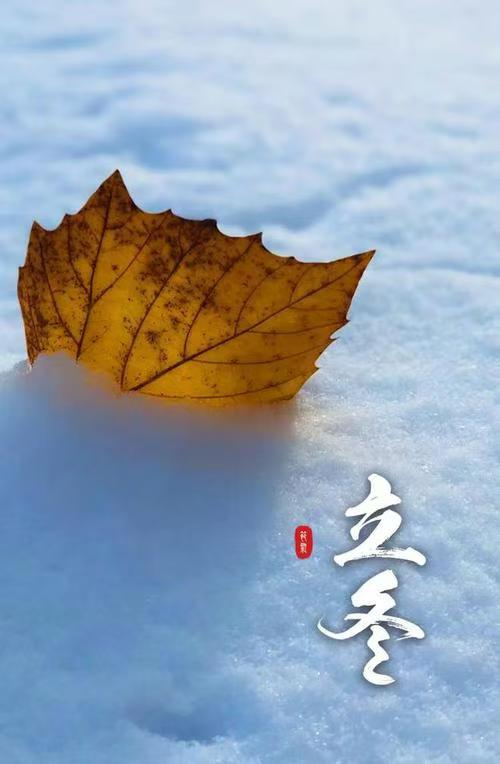 赤脚诗童·辩证法：王家明朗诵《把盏立冬送㊗️福》世界诗人名人展||人民诗刊｜海外头条（图9）