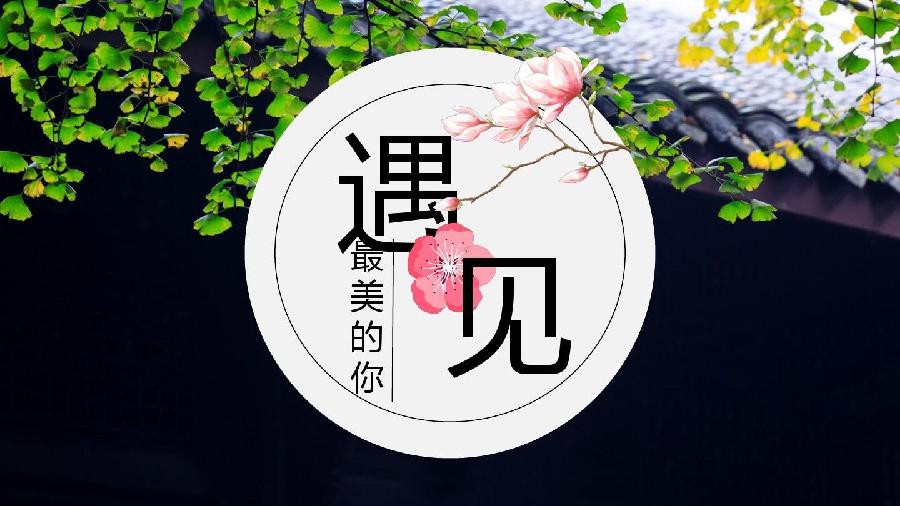 珍惜遇见：作者||柳公｜海外头条（图6）