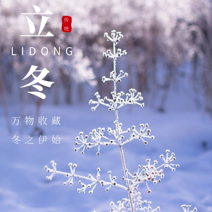 ……立冬时节，八首…… 文／ 王铁忠（图11）