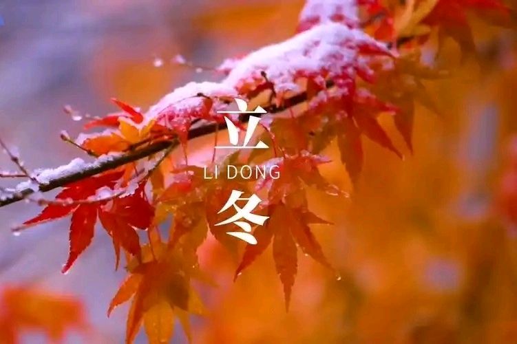 七绝-立冬（外二首）诗||旗袍（图17）