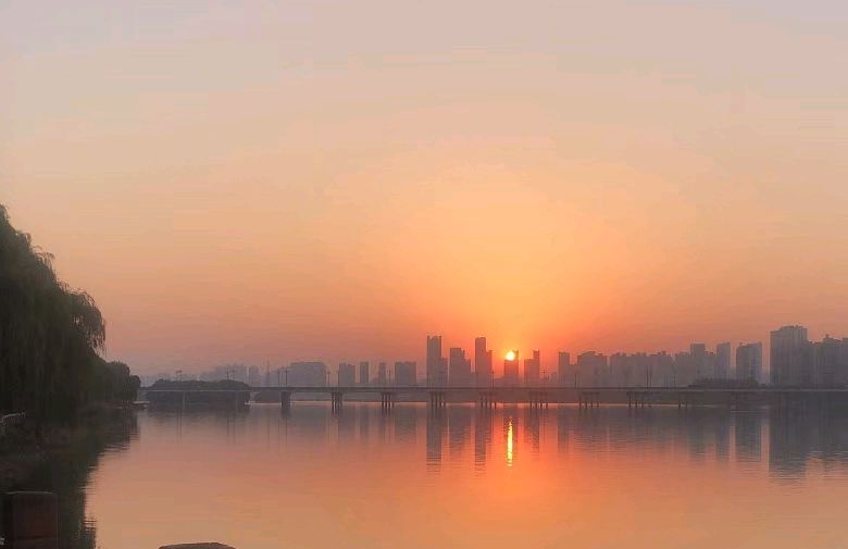 寻春记（图2）