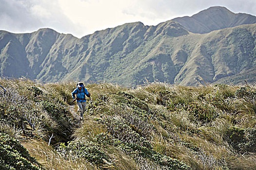 七律_登山感怀_三十首_文/杨振国（北京）京津沪头条（图5）