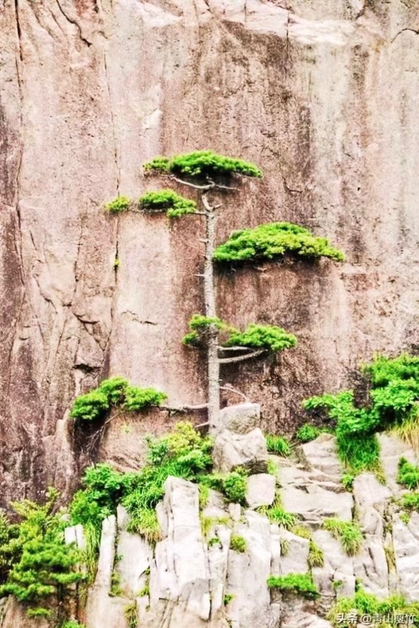 七律_登山感怀_三十首_文/杨振国（北京）京津沪头条（图7）