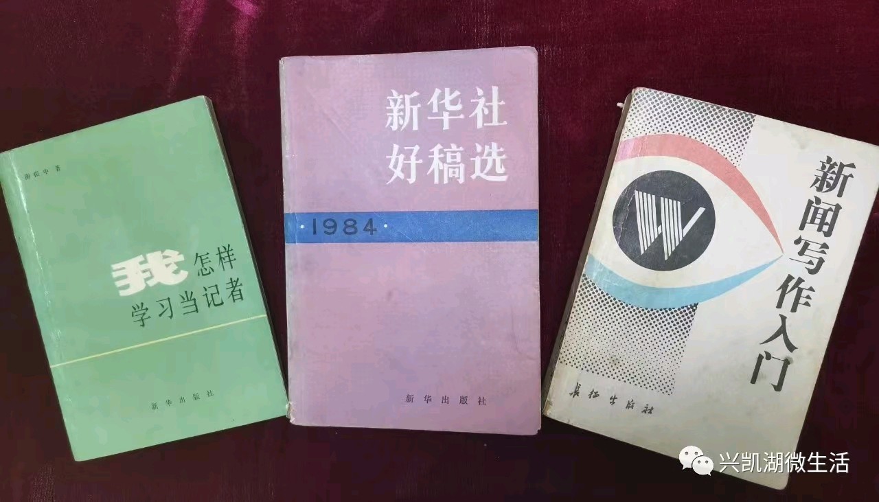 记者节感怀---为庆祝第二十五个记者节而作/作者：王夫（图3）