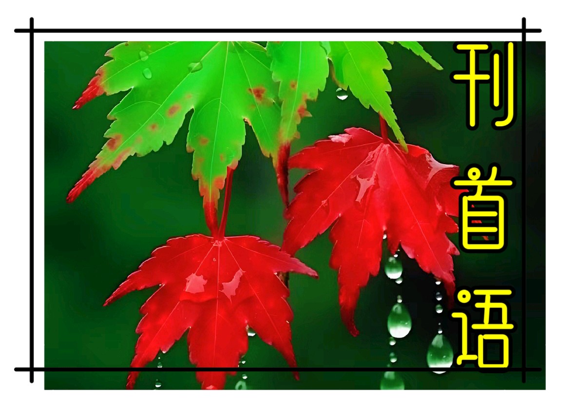 【紫罗兰文学社 宋艳清专辑】木兰诗社推荐 || 都刊2024第104期总第272期（图3）