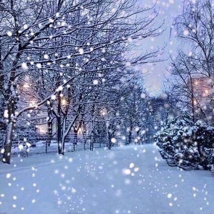 【荣耀中国】《大雪》感怀丰茂春作于甲辰（图4）