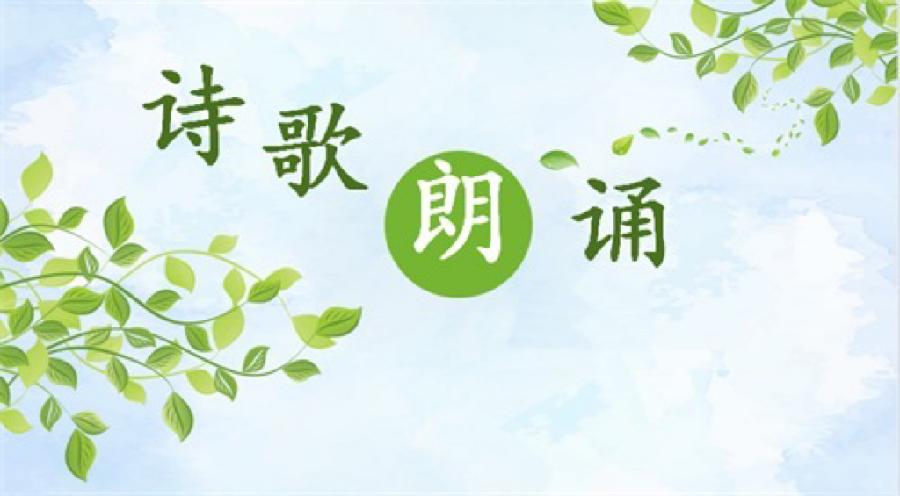 ㊗️贺海外头条主播团成立朗诵晚会圆满成功｜海外头条（图10）