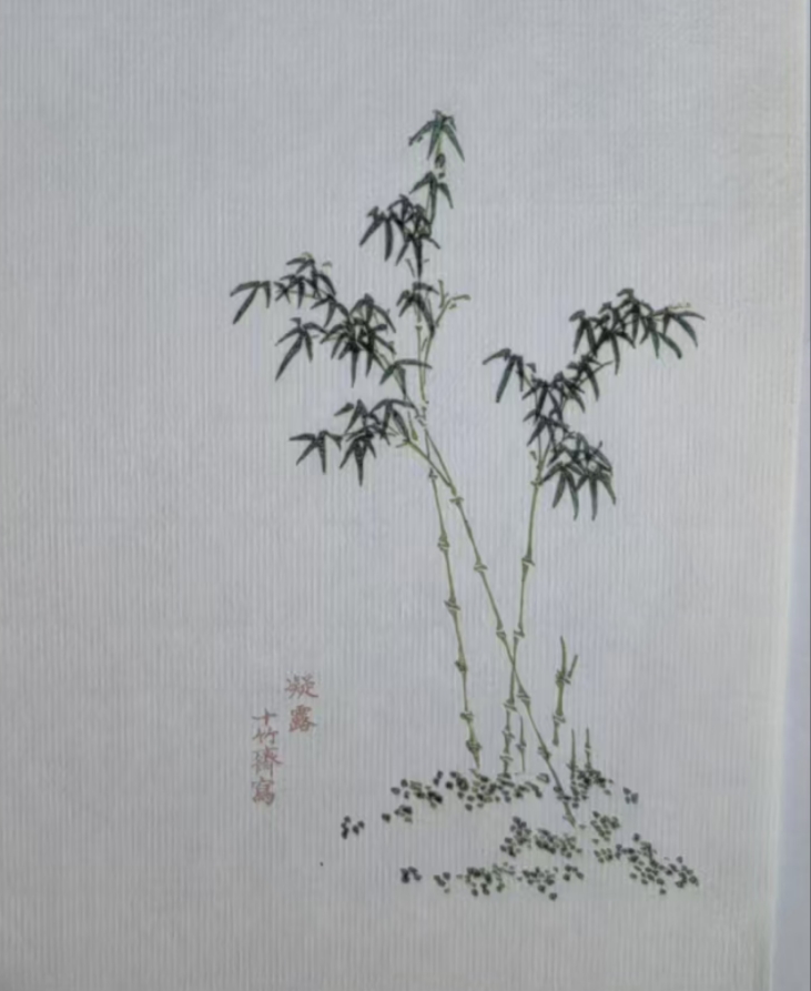 试题十竹主人画作 兼赠友人 （十二首） 作者:严肃人 主播:蝴蝶兰（图11）