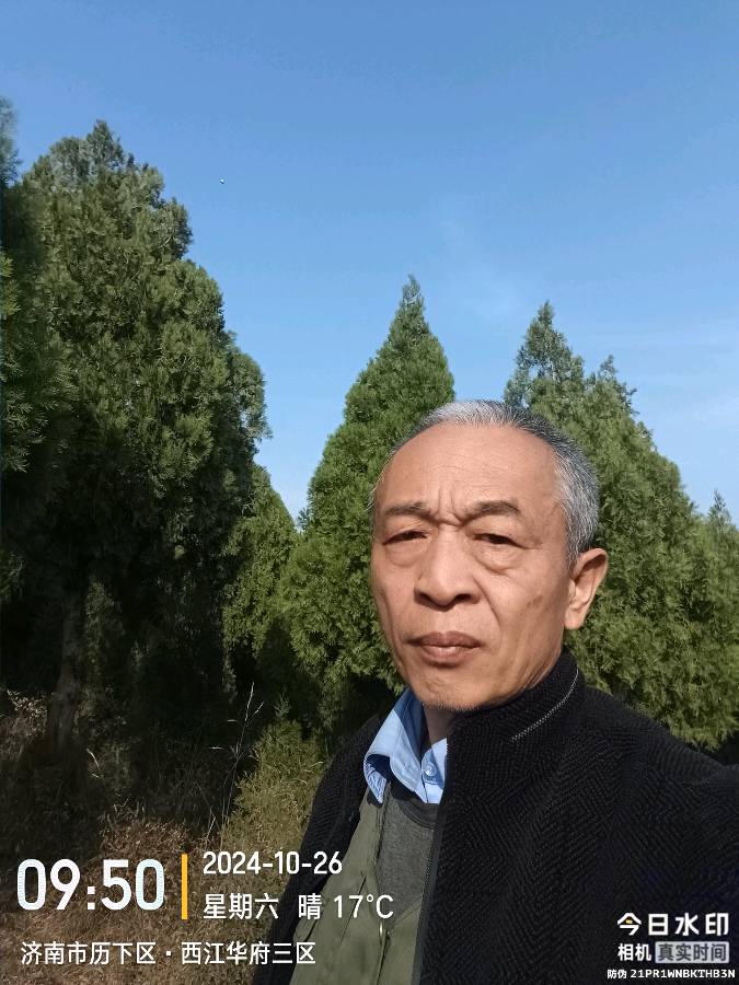 《鹧鹄天.松柏长青》（图2）