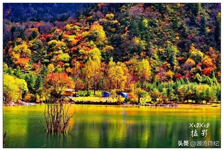 【神州源流诗苑】第1259期优秀近体诗周刊(图5)