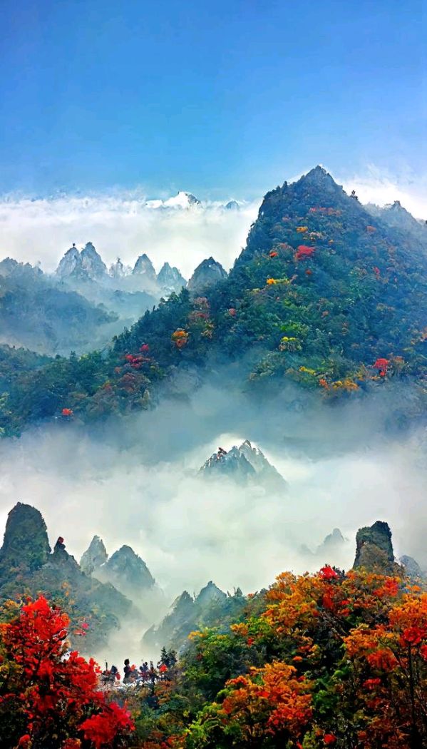 七律-偶遇感概～诗||雅轩琴韵（图14）