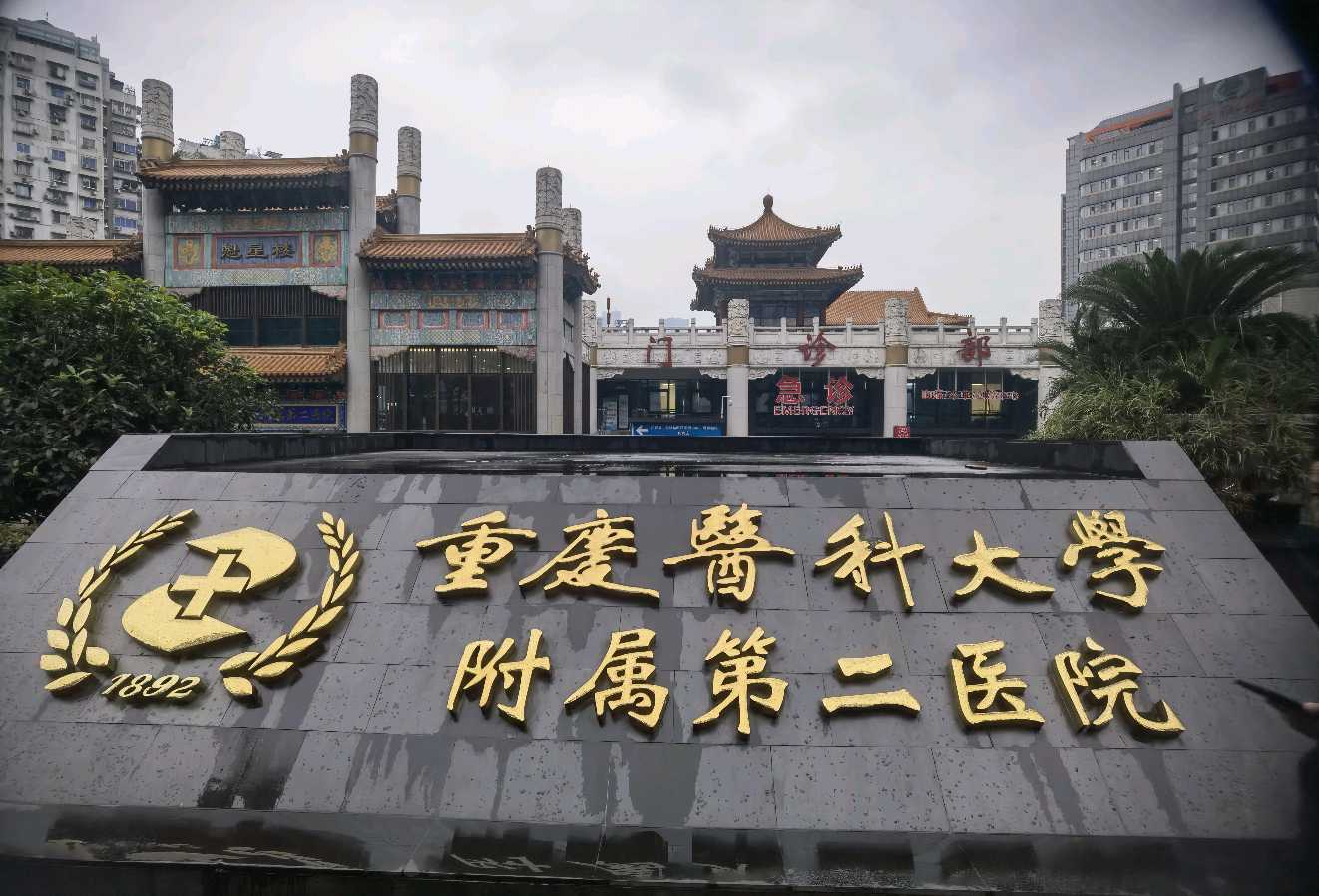 「散文」魁星楼的早晨，点靓了重医附二院（图8）