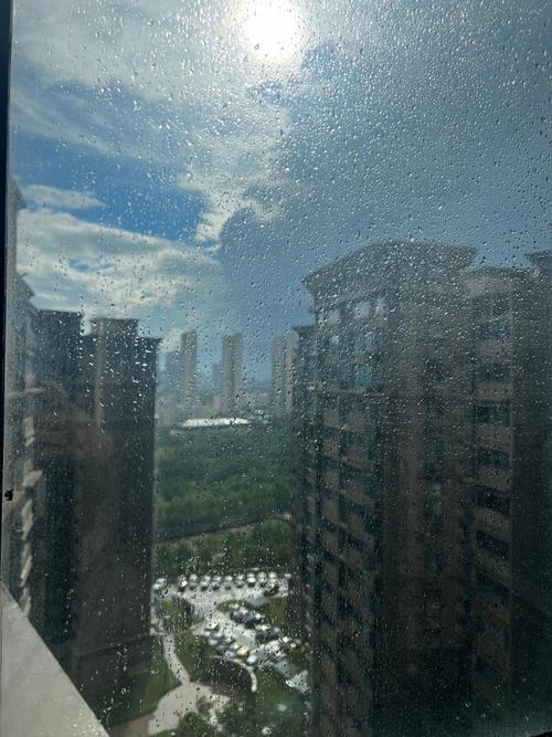 朱赤：《太阳雨》海外头条（图5）