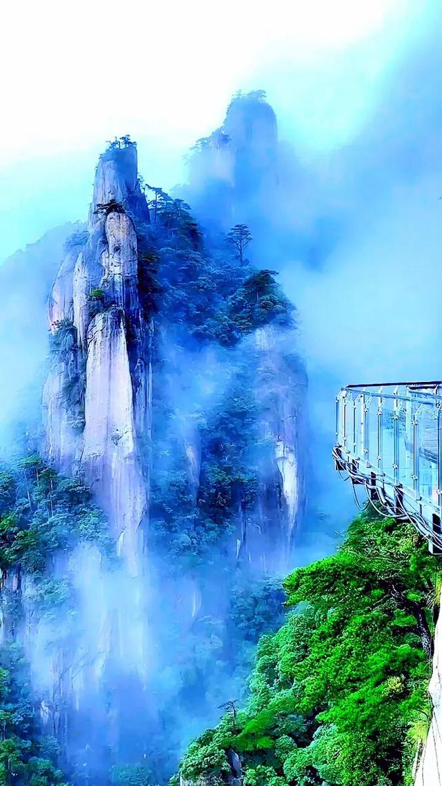 落葵：《在山腰》海外头条（图5）