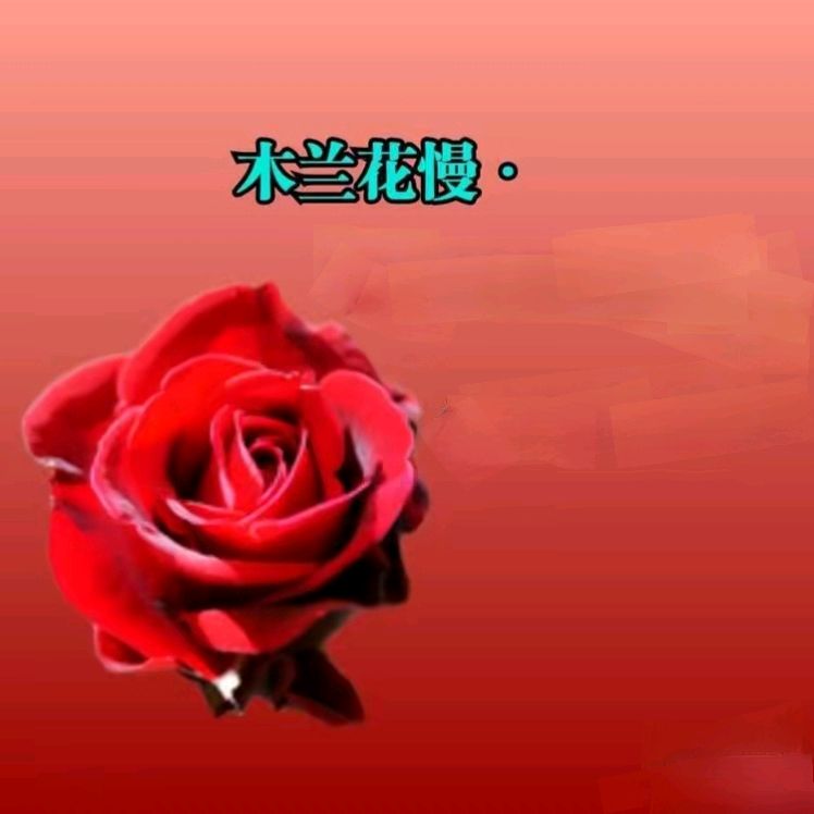 《现代诗人王宗先现代古诗词牌鉴赏》作者:海风 [中国现代诗歌文化传媒]（图6）