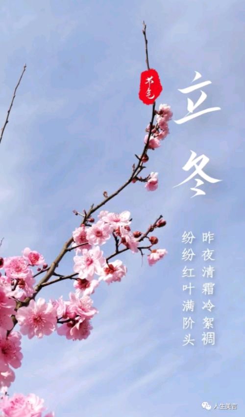 联机全球发布张维清作品欣赏（图4）