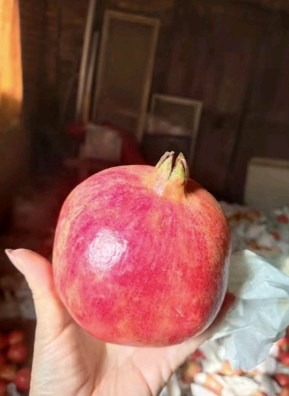 聆听 ‖ 弘华朗诵《家乡的石榴红了》作者/黄赞高（图4）